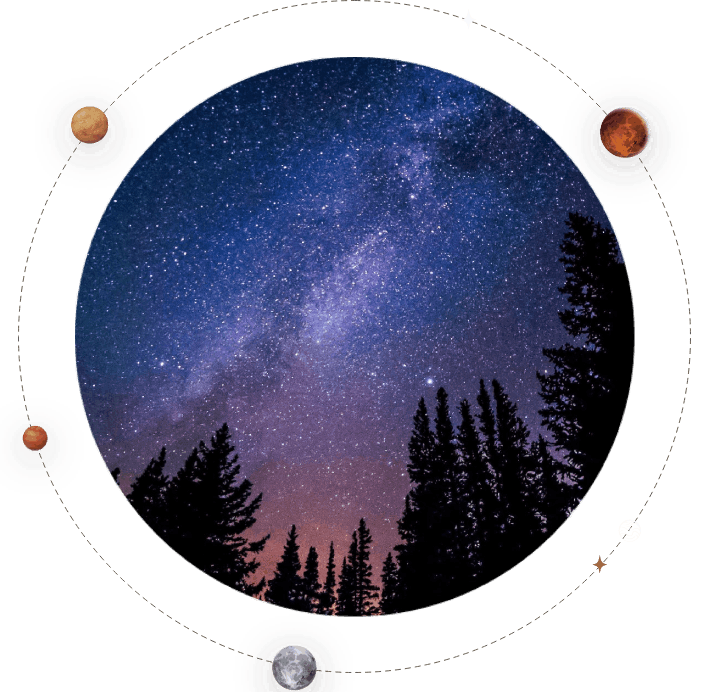 vue à vol d'oiseau des arbres pendant la nuit