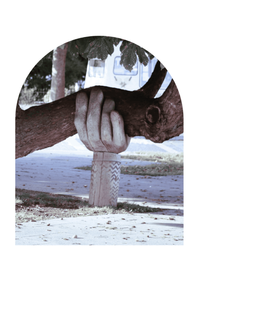 arbre brun